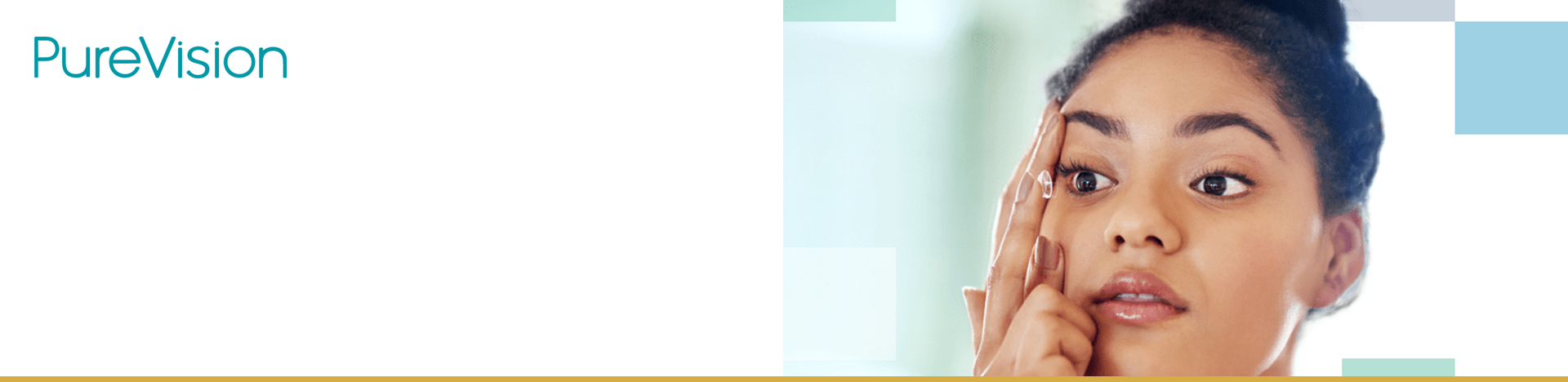 PureVision
