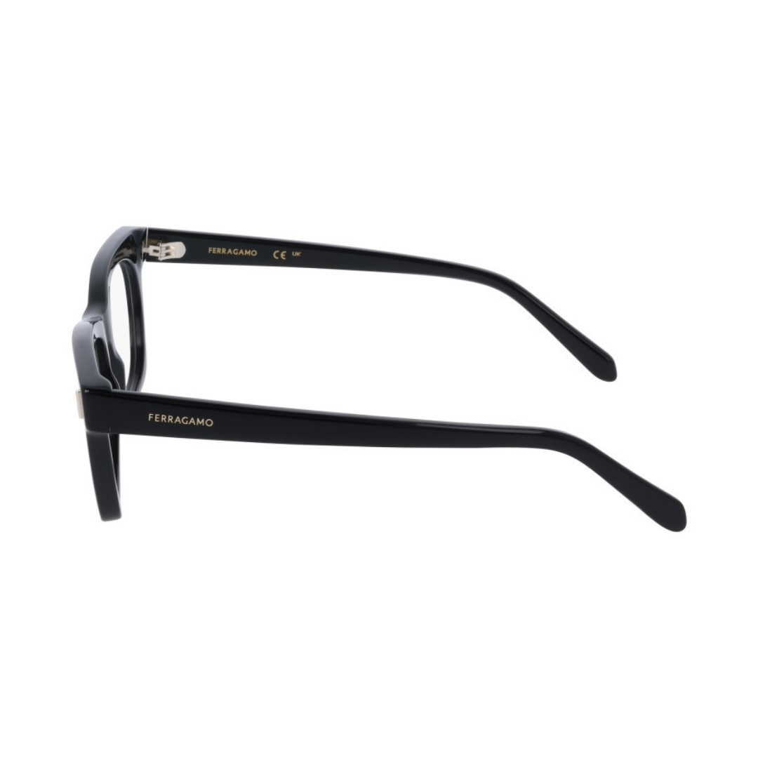 Salvatore Ferragamo Eyewear | Model SF3025