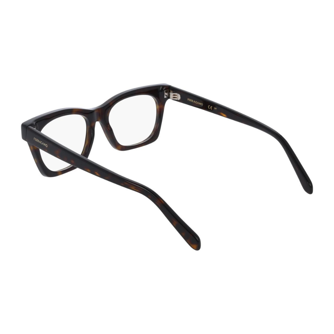 Salvatore Ferragamo Eyewear | Model SF3025