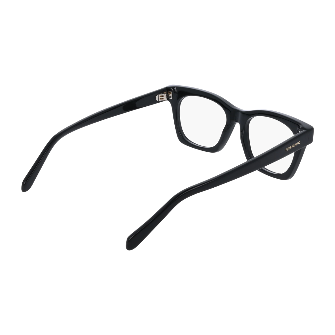 Salvatore Ferragamo Eyewear | Model SF3025