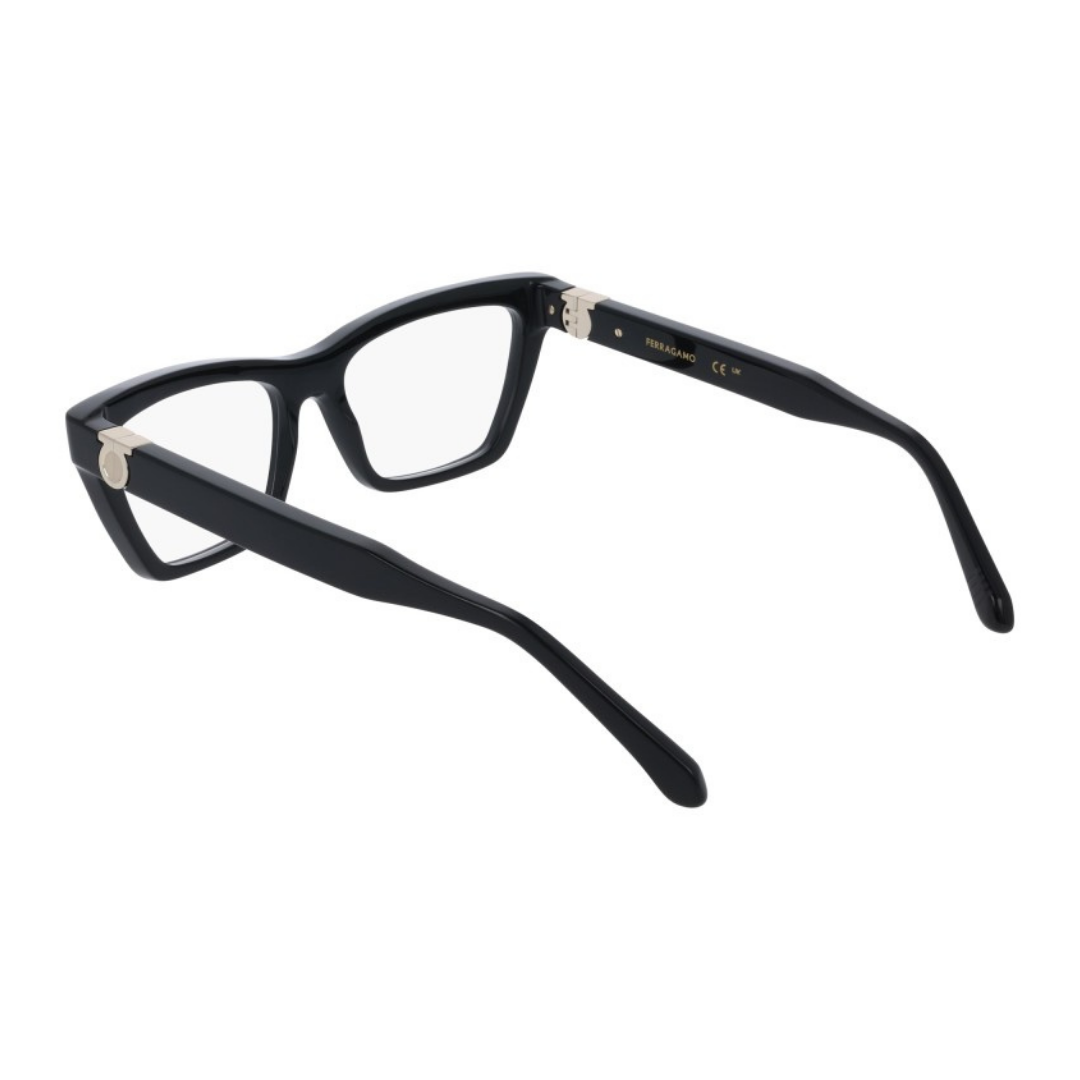 Salvatore Ferragamo Eyewear | Model SF3021