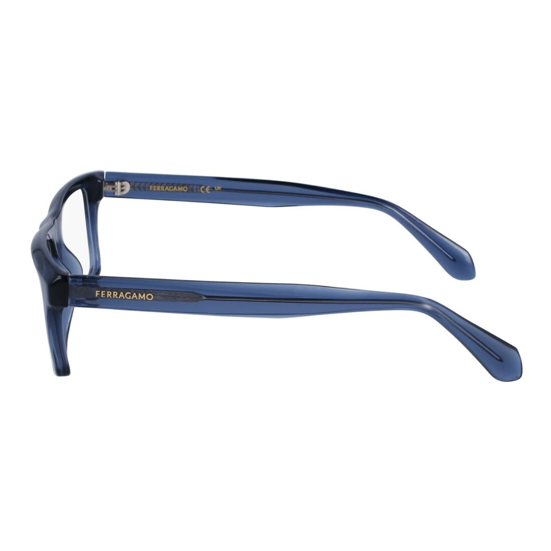 Salvatore Ferragamo Eyewear | Model SF2988