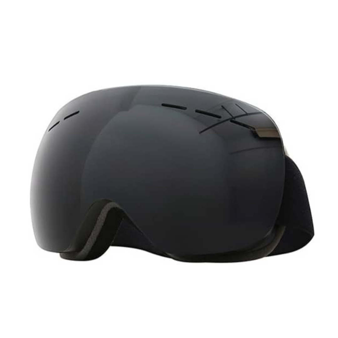 Skii & Snowboard Goggles Polarized | 01 Adult - Black