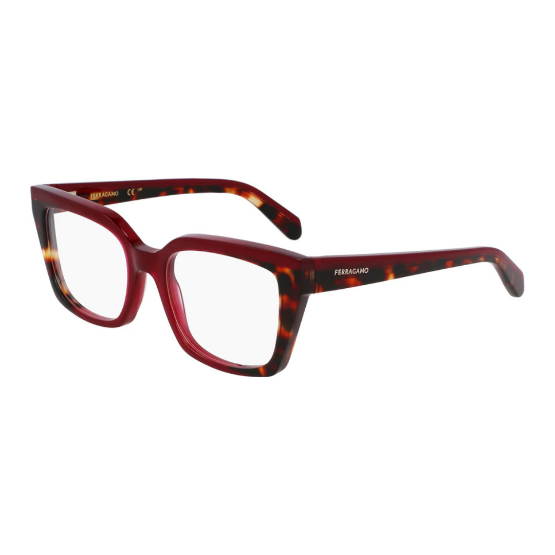 Salvatore Ferragamo Eyewear | Model SF3010