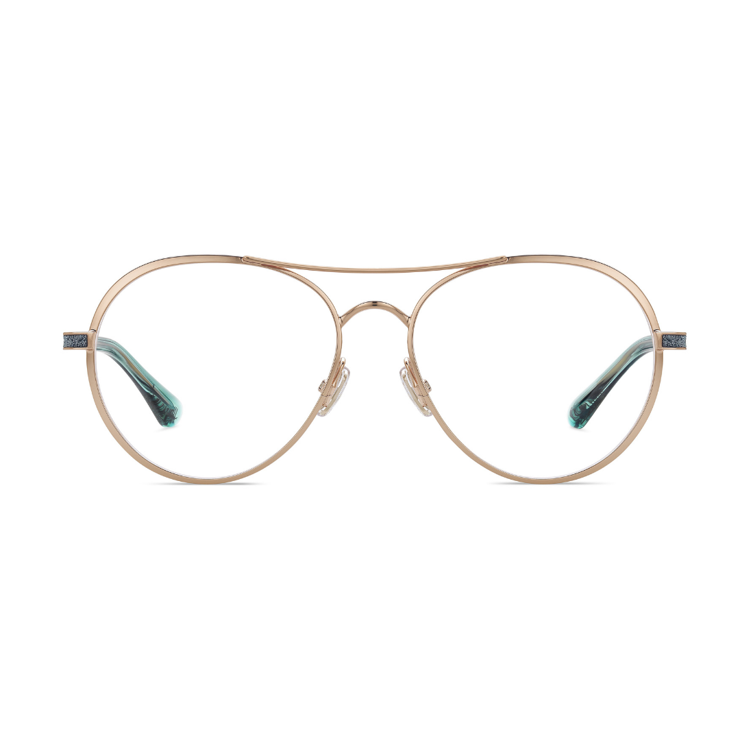 Monture de lunettes Jimmy Choo | Modèle JC244