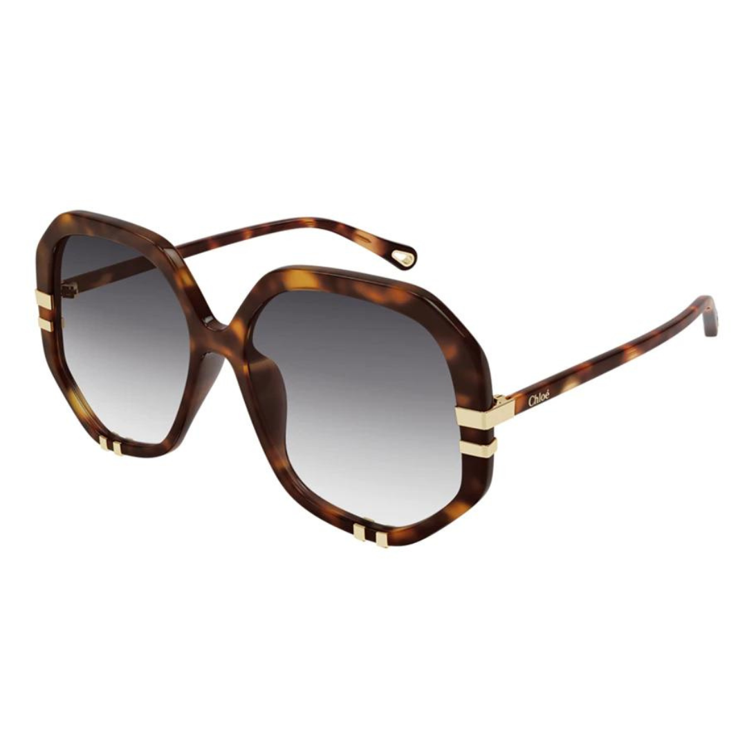 Lunettes de soleil Chloé | Modèle CH0105S