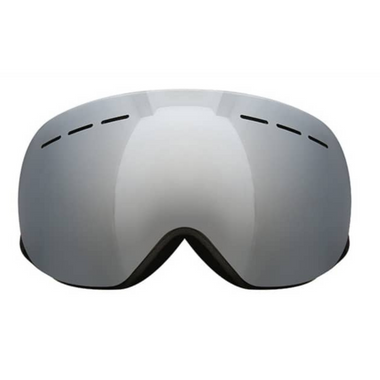 Skii & Snowboard Goggles 06 Adult - Gray/Black